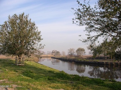 Opportunity is endless! 183 acres in Bay St. Louis! Over 1/2 - photo 21
