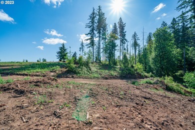Silver Lake - Cowlitz County Acreage For Sale in Castlerock Washington