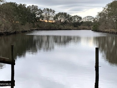 Opportunity is endless! 183 acres in Bay St. Louis! Over 1/2 - photo 22