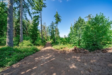 Introducing Delta Vista Community! An upscale community with - photo 2