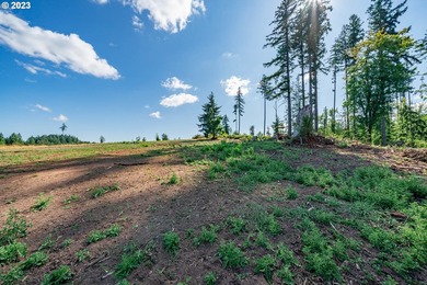 Introducing Delta Vista Community! An upscale community with - photo 4