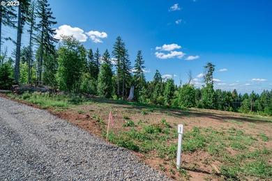 Introducing Delta Vista Community! An upscale community with - photo 6