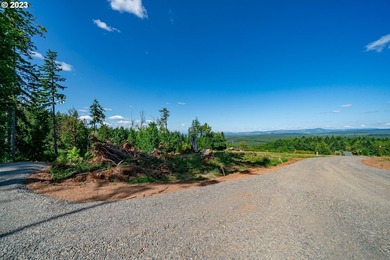 Introducing Delta Vista Community! An upscale community with - photo 7