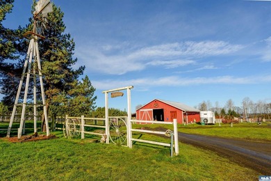 5+ Acre Equestrians Property just minutes from town. The home - photo 32