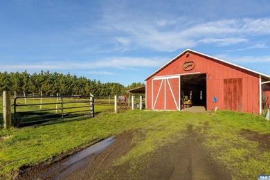 5+ Acre Equestrians Property just minutes from town. The home - photo 33