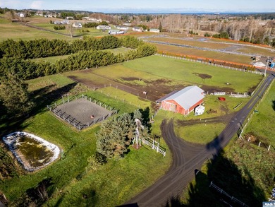 5+ Acre Equestrians Property just minutes from town. The home - photo 38