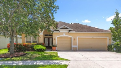 Lake Home For Sale in Ellenton, Florida