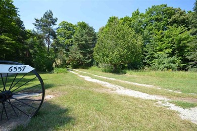 Ideally situated between Boyne City and Charlevoix, this - photo 49