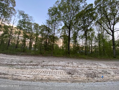Trent River Lot Sale Pending in New Bern North Carolina