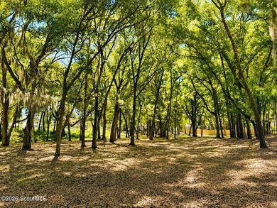 Deepwater Lot #3-A-1 on a high bluff on Cathead Creek in Darien - photo 11