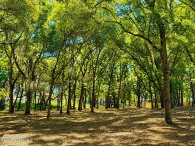 Deepwater Lot #3-A-1 on a high bluff on Cathead Creek in Darien - photo 12
