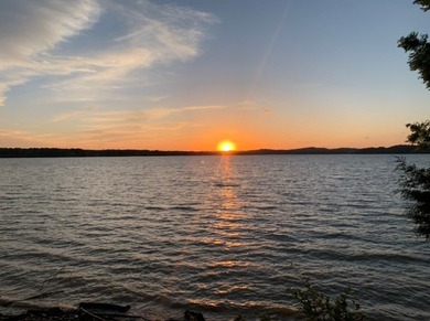 I love this lot and you will too!! What Awesome lake front for - photo 2