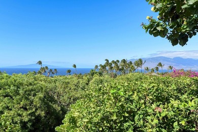 Nestled in the sought-after community of Maui Meadows, this - photo 12