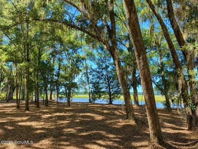 Deepwater Lot #3-A-1 on a high bluff on Cathead Creek in Darien - photo 13