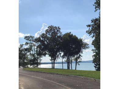I love this lot and you will too!! What Awesome lake front for - photo 3