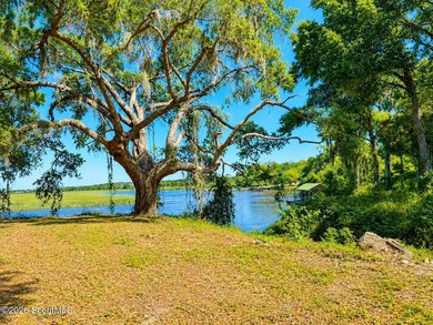 Deepwater Lot #3-A-1 on a high bluff on Cathead Creek in Darien - photo 14