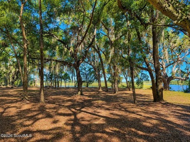 Deepwater Lot #3-A-1 on a high bluff on Cathead Creek in Darien - photo 15