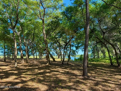 Deepwater Lot #3-A-1 on a high bluff on Cathead Creek in Darien - photo 16