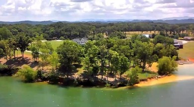I love this lot and you will too!! What Awesome lake front for - photo 6
