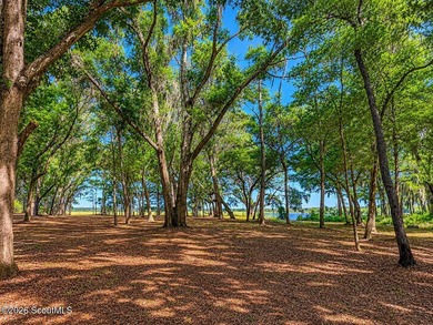 Deepwater Lot #3-A-1 on a high bluff on Cathead Creek in Darien - photo 17