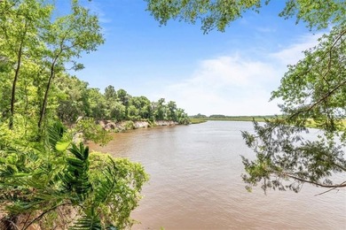 Deepwater Lot #3-A-1 on a high bluff on Cathead Creek in Darien - photo 19