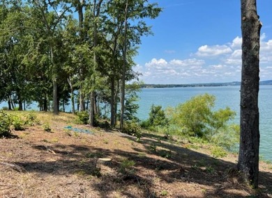 I love this lot and you will too!! What Awesome lake front for - photo 9