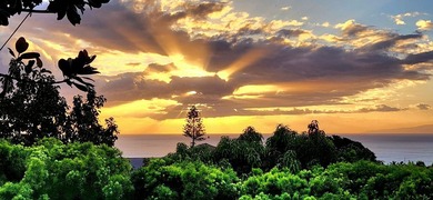 Nestled in the sought-after community of Maui Meadows, this - photo 19