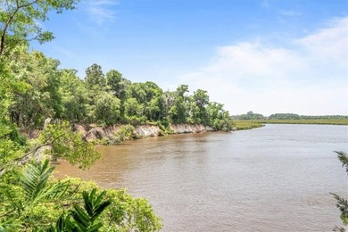 Deepwater Lot #3-A-1 on a high bluff on Cathead Creek in Darien - photo 20