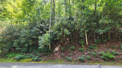 Lake Lot For Sale in Sapphire, North Carolina