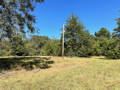 Pinkston Reservoir Acreage For Sale in Center Texas