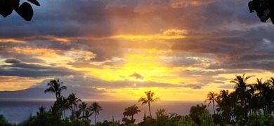 Nestled in the sought-after community of Maui Meadows, this - photo 27