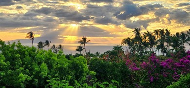 Nestled in the sought-after community of Maui Meadows, this - photo 33