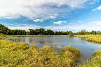 (private lake, pond, creek) Lot For Sale in Rosanky Texas