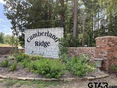 Come build your dream home on this beautiful lot in Cumberland - photo 7