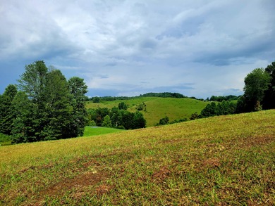 Clinch River - Hancock County Lot Sale Pending in Sneedville Tennessee