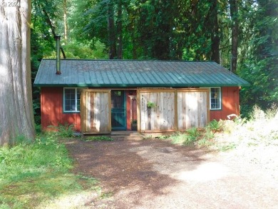 Fishhawk Lake Home For Sale in Birkenfeld Oregon