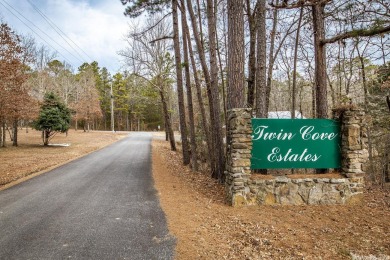 TWO (2) lovely LOTS just waiting for a LAKE HOUSE to be built in - Lake Lot For Sale in Higden, Arkansas