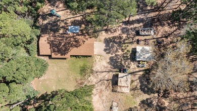Secluded lakefront living surrounded by towering East Texas - photo 26