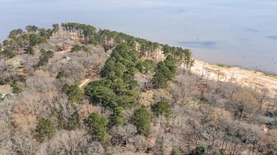 Secluded lakefront living surrounded by towering East Texas - photo 28