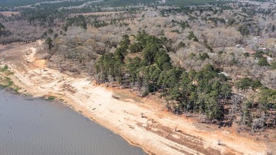 Secluded lakefront living surrounded by towering East Texas - photo 34