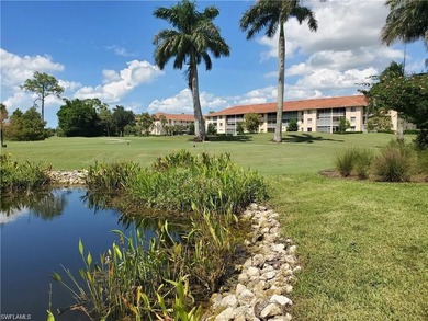 (private lake, pond, coastal) Condo For Sale in Naples Florida