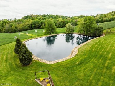 Exceptional 89.5+/- acre turnkey estate and sportsman's paradise - photo 44