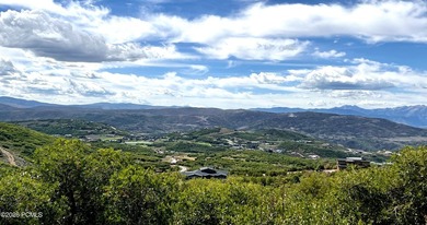 An exceptional opportunity to secure a premier homesite within - photo 6