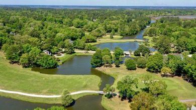 Welcome to your dream home nestled amidst breathtaking golf - photo 47