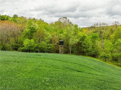 Exceptional 89.5+/- acre turnkey estate and sportsman's paradise - photo 49