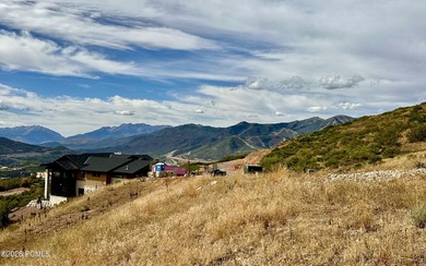 An exceptional opportunity to secure a premier homesite within - photo 9