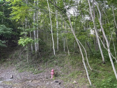 Lake Lot For Sale in Smithville, Tennessee