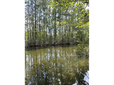 Lake Marion Lot For Sale in Eutawville South Carolina