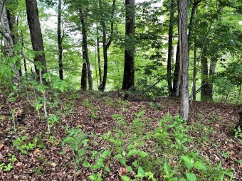 Cherokee Lake Lot For Sale in Whitesburg Tennessee