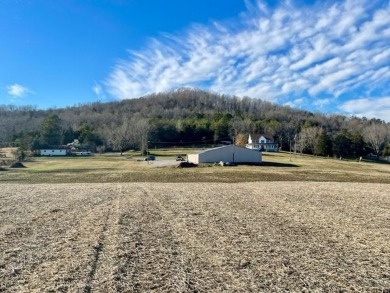 Amazing Business Opportunity or Build Your Dream Home! Great - Lake Acreage For Sale in Bronston, Kentucky